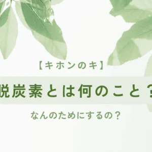 【キホンのキ】脱炭素とは何のこと？なんのためにするの？