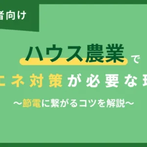 【農業従事者必見】ハウス農業で省エネ対策が必要な理由と節電に繋げるコツを解説