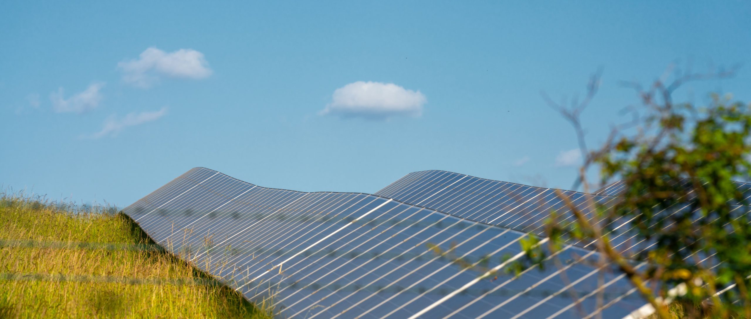ペロブスカイト太陽電池の将来性