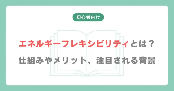 エネルギーフレキシビリティ